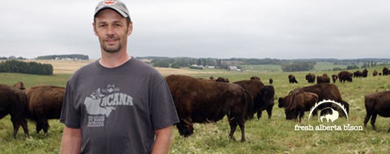 bison producer