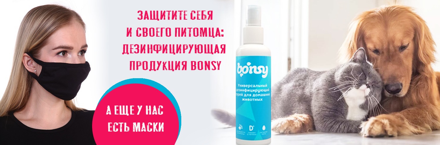 bonsy banner