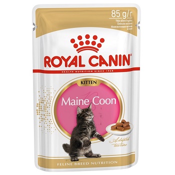 Royal Canin Maine Coon Kitten влажный корм для котят в соусе (14 шт.)