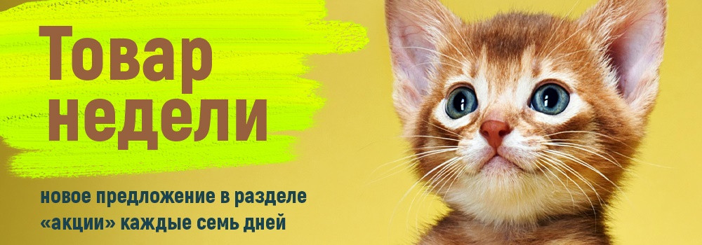images/slider/175119638346.jpg