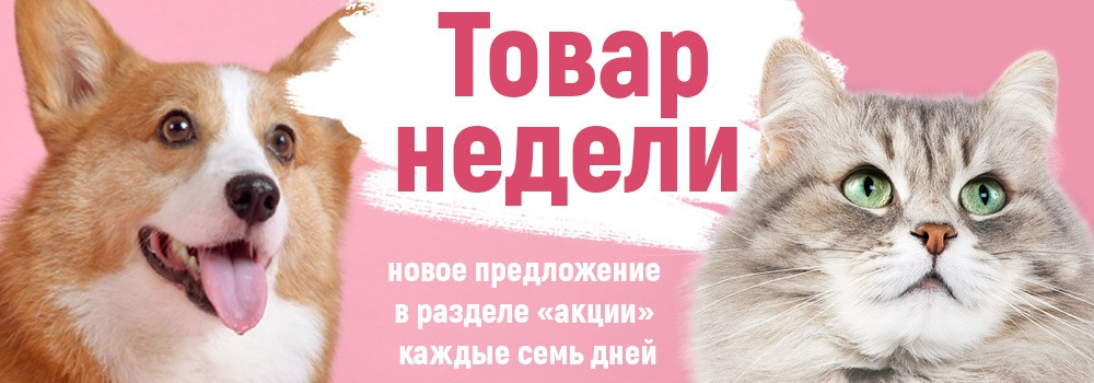 images/slider/17857340604.jpg