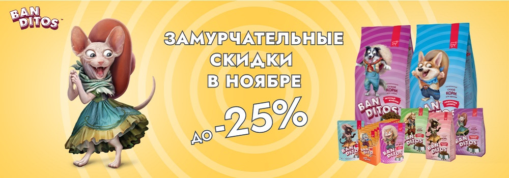Скидка 10% на влажные корма Banditos!