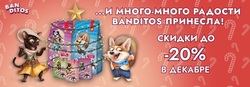 Скидка 20% на сухие корма Banditos!