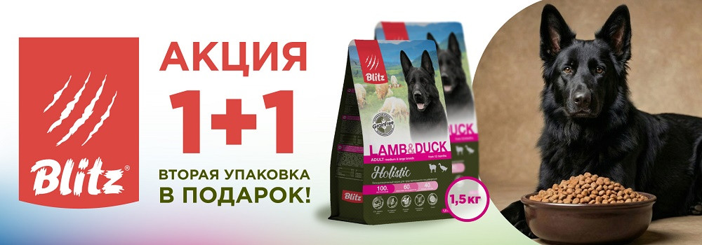 Blitz для собак 1+1!