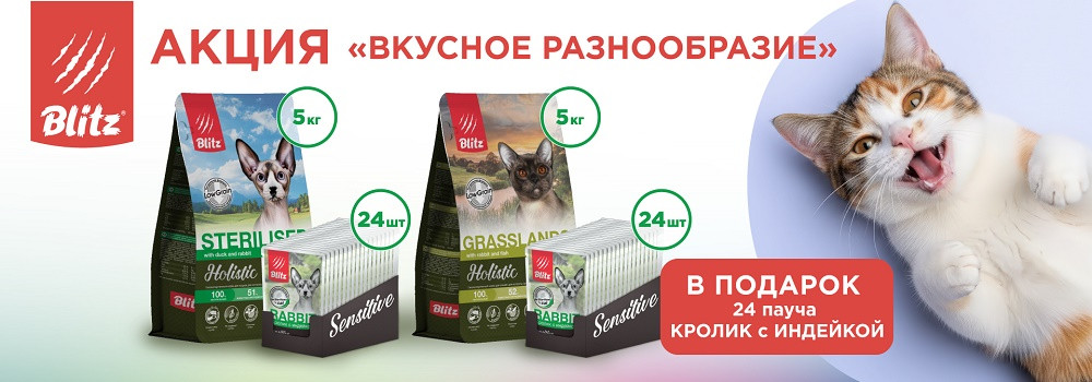 Подарок при покупке Blitz для кошек!