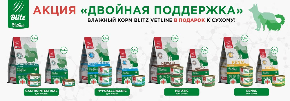 Подарок при покупке диетического Blitz!
