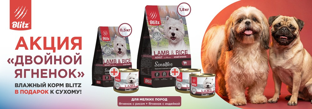 Влажный корм Blitz для собак в подарок!