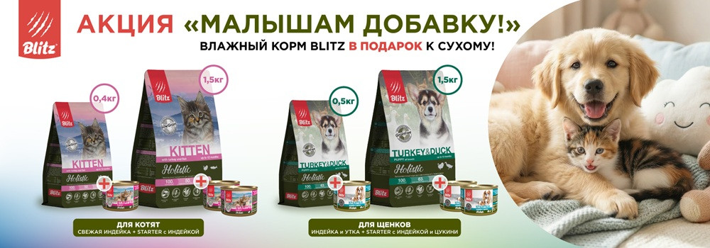 Влажный корм Blitz в подарок!