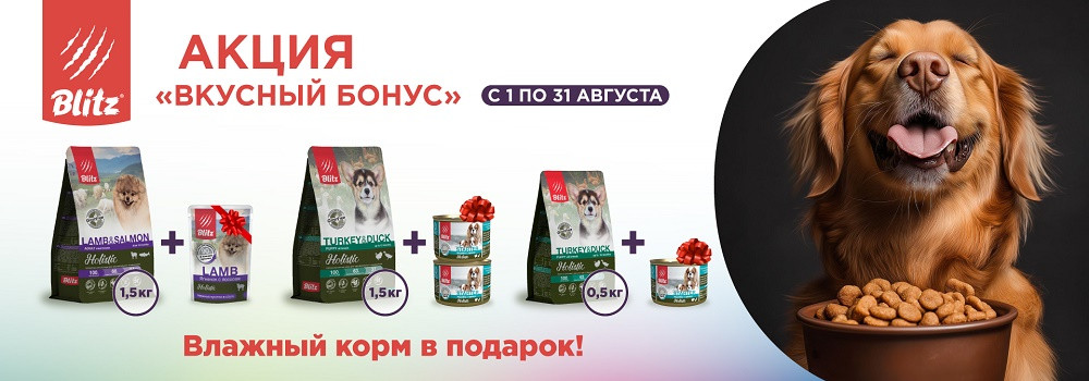 Подарок при покупке Blitz Holistic!