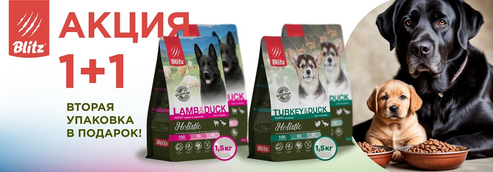 Blitz для собак 1+1!