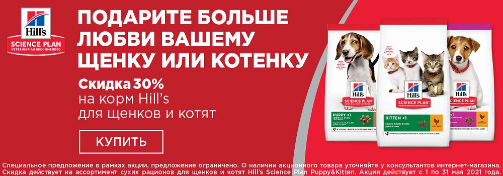 Зоомагия Интернет Магазин Товаров Ярославль Интернет