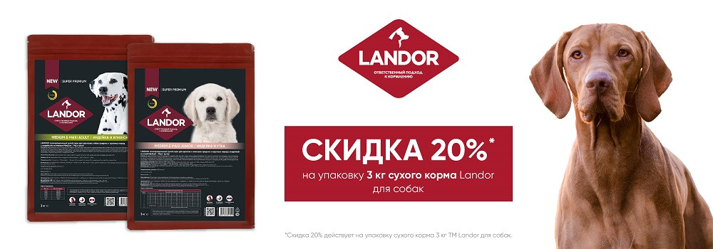 Скидка 20% на сухие корма для собак Landor!