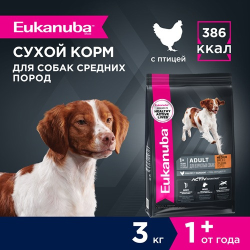 Eukanuba Adult Medium Breed сухой корм для взрослых собак средних пород