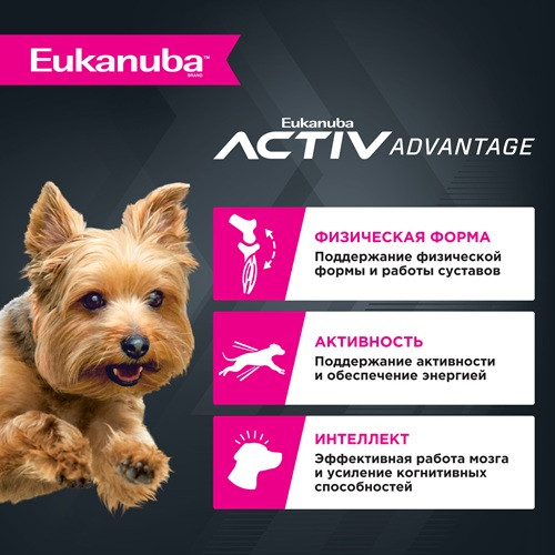 Eukanuba Adult Toy Breed сухой корм для взрослых собак миниатюрных пород