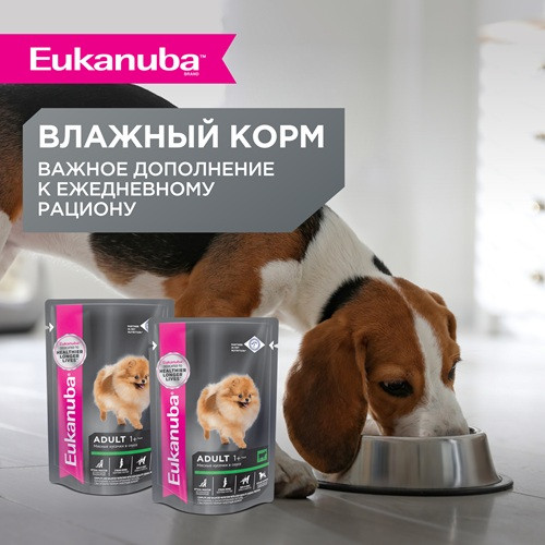 Eukanuba Adult Toy Breed сухой корм для взрослых собак миниатюрных пород