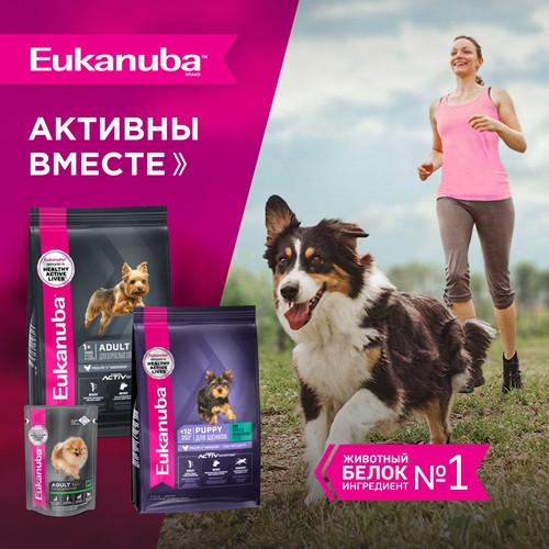 Eukanuba Adult Toy Breed сухой корм для взрослых собак миниатюрных пород