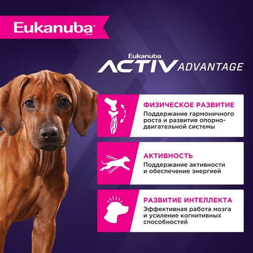 Eukanuba Puppy Large Breed сухой корм для щенков крупных пород