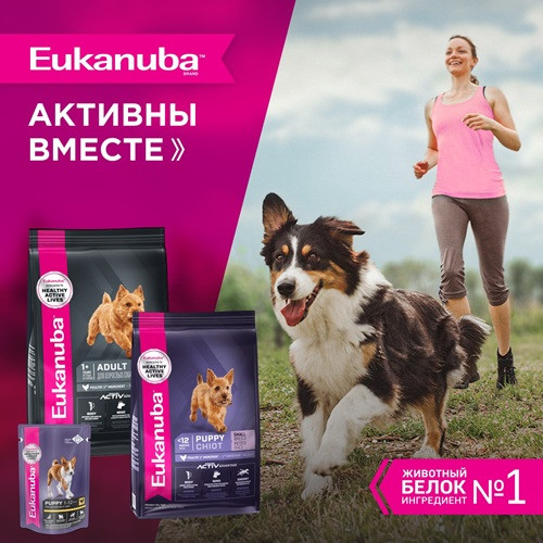 Eukanuba Puppy Large Breed сухой корм для щенков крупных пород