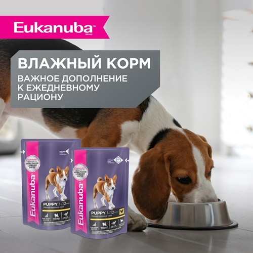 Eukanuba Puppy Small Breed сухой корм для щенков мелких пород