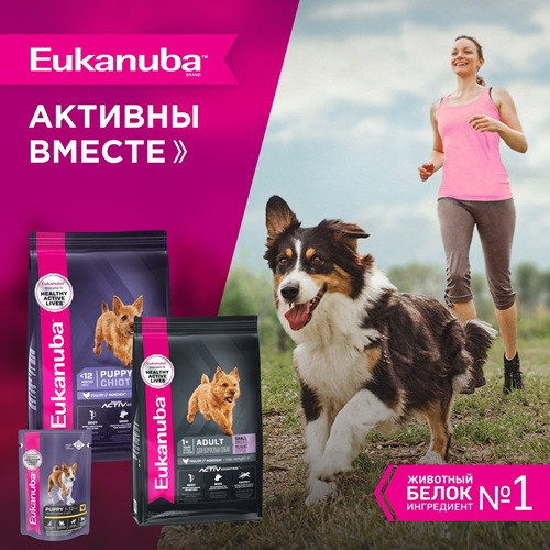 Eukanuba Puppy Small Breed сухой корм для щенков мелких пород