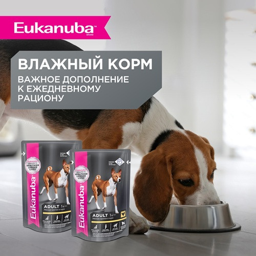 Eukanuba Senior Large Breed сухой корм для пожилых собак крупных пород