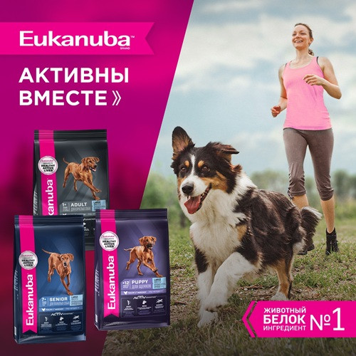 Eukanuba Senior Large Breed сухой корм для пожилых собак крупных пород