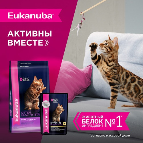 Eukanuba Kitten Healthy Start влажный корм для котят Курица