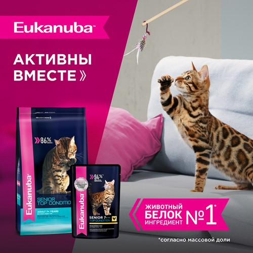 Eukanuba Senior 7+ Top Condition влажный корм для кошек старше 7 лет Курица