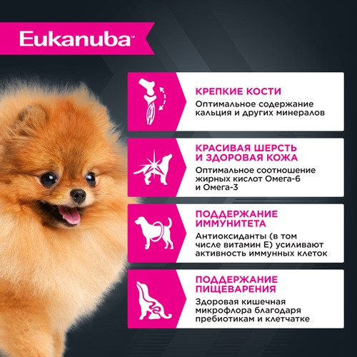 Eukanuba Adult влажный корм для собак всех пород Говядина