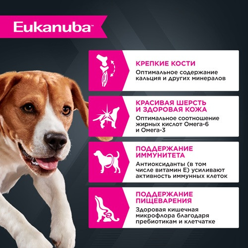 Eukanuba Adult влажный корм для собак всех пород Ягненок