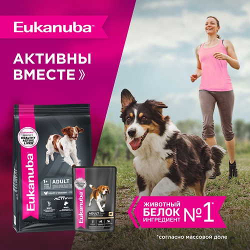 Eukanuba Adult влажный корм для собак всех пород Ягненок