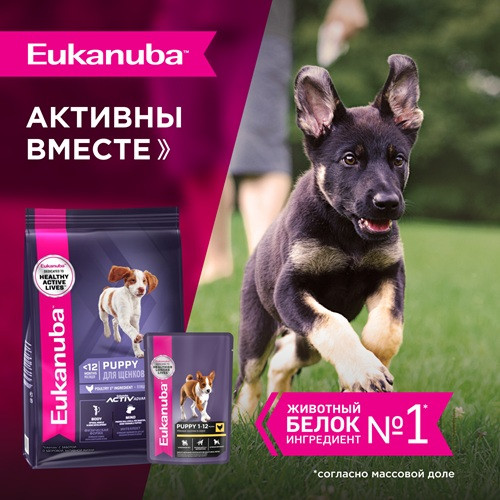 Eukanuba Puppy влажный корм для щенков всех пород