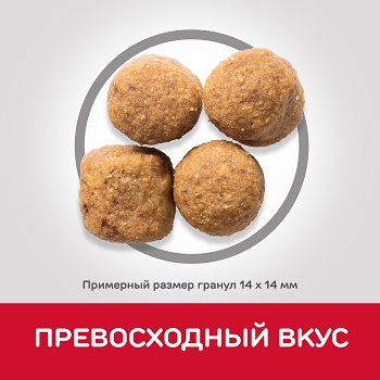 dog sp large adult chicken gr