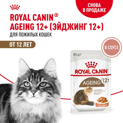 Royal Canin Ageing 12+ влажный корм для кошек в соусе