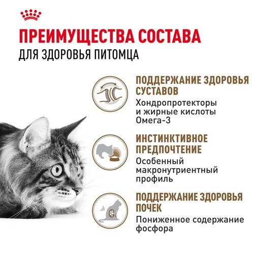 Royal Canin Ageing 12+ влажный корм для кошек в соусе