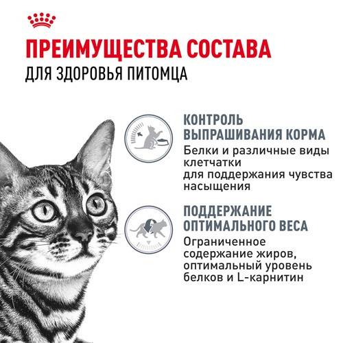 Royal Canin Appetite Control Care сухой корм для кошек склонных к набору веса