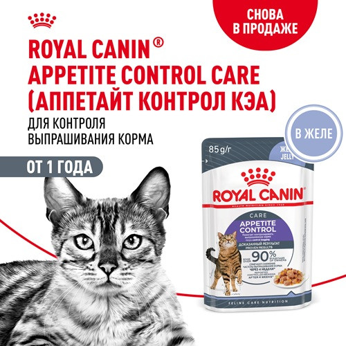 Royal Canin Appetite Control Care влажный корм для кошек в желе