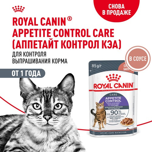 Royal Canin Appetite Control Care влажный корм для кошек в соусе