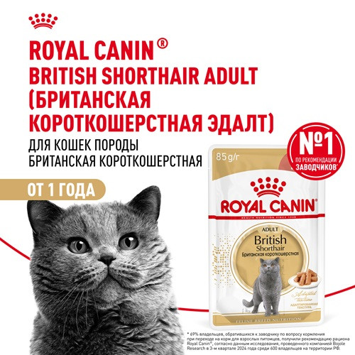 Royal Canin British Shorthair влажный корм для кошек в соусе