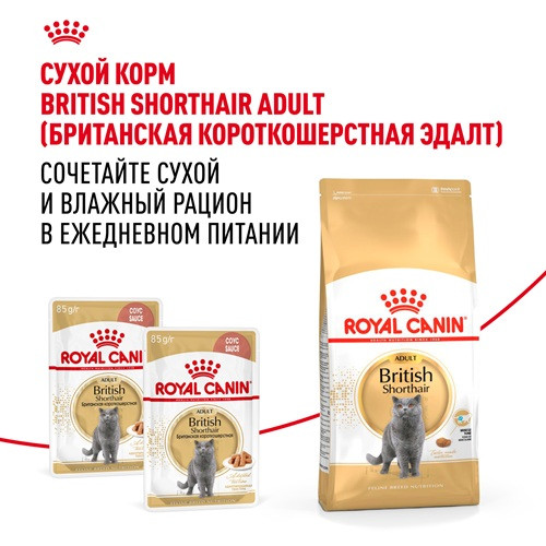 Royal Canin British Shorthair влажный корм для кошек в соусе