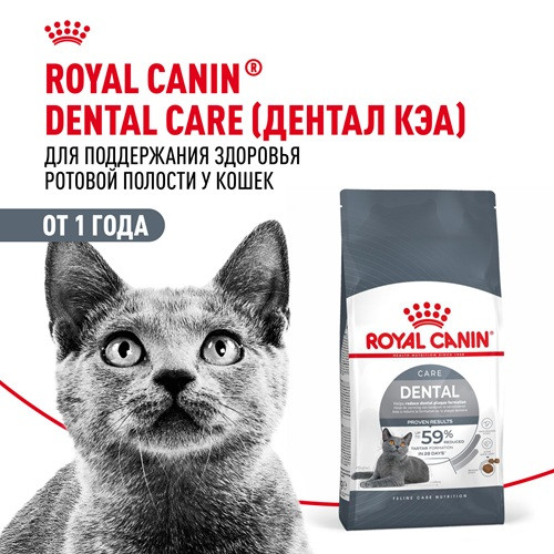 Royal Canin Dental Care сухой корм для взрослых кошек