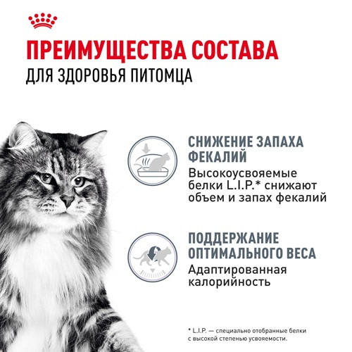Royal Canin Digestive Care влажный корм для кошек в соусе