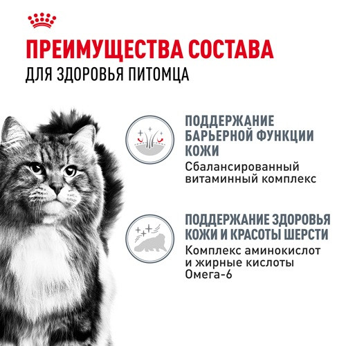 Royal Canin Hair&Skin Care влажный корм для кошек в желе