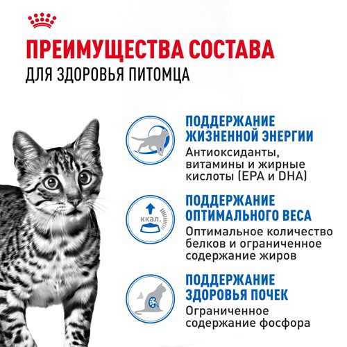 Royal Canin Indoor 7+ Sterilised влажный корм для кошек в желе
