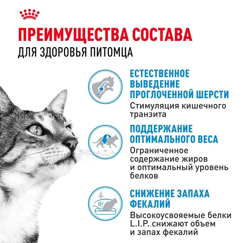 Royal Canin Indoor сухой корм для домашних кошек