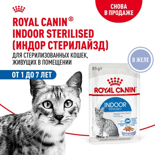 Royal Canin Indoor Sterilised влажный корм для кошек в желе