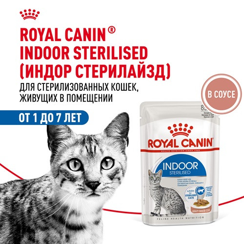 Royal Canin Indoor Sterilised влажный корм для кошек в соусе
