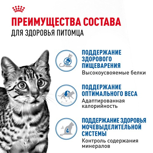Royal Canin Indoor Sterilised влажный корм для кошек в соусе