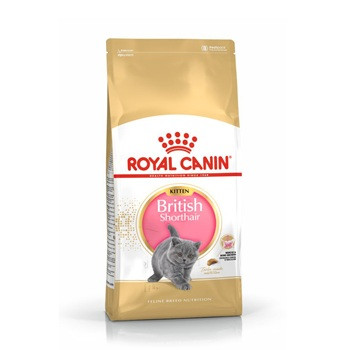 Royal Canin British Shorthair Kitten сухой корм для котят породы британская короткошерстная