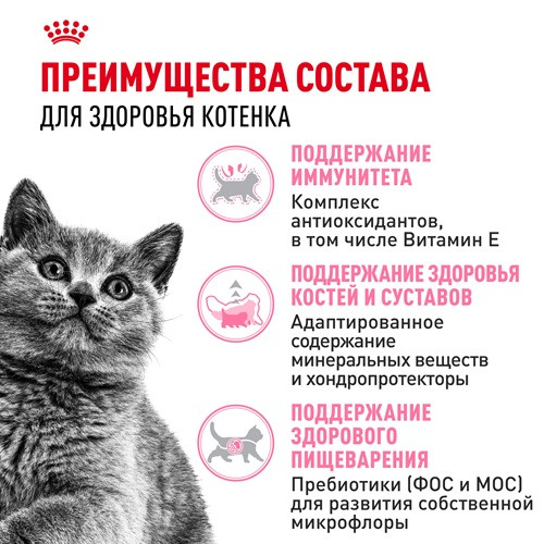 Royal Canin British Shorthair Kitten сухой корм для котят породы британская короткошерстная
